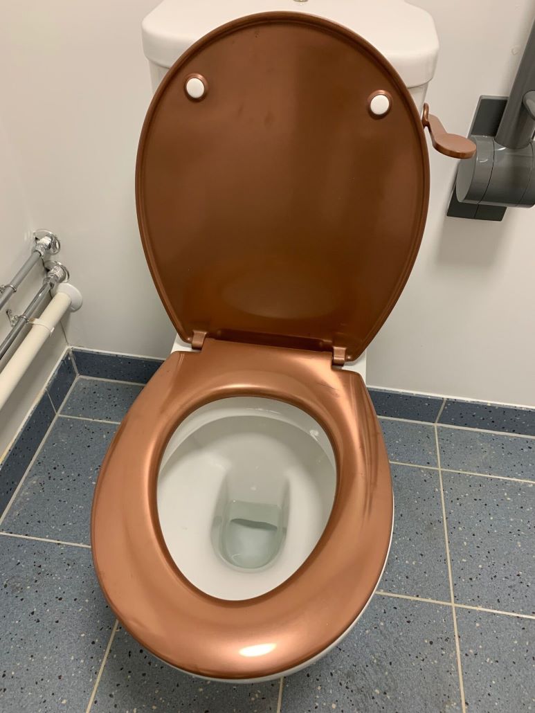 A Toilet Seat With A Copper Finish